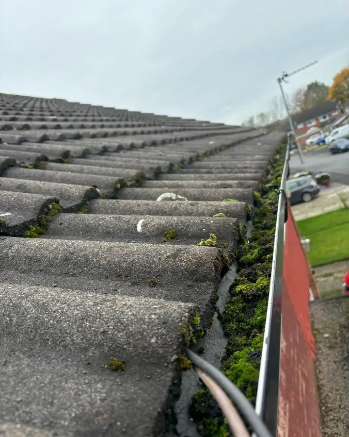 Gutter blocked with moss before cleaning by Your Gutter Care